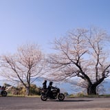 iroiro