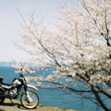 Hanami touring