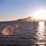 Evening calm wire