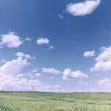 natsugumo