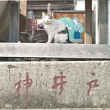 初詣