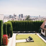 Tranquil Garden