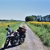 Flower road