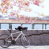 Harukaze cycling
