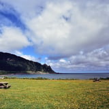 Clouds, flowers and benches