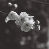 光漏れ