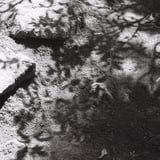 Shadow