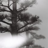 Shadow and light leakage