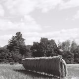 A harvest season 