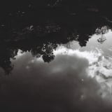 Reflection 