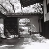 広角だったかな？
