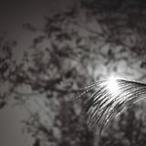 One day in early autumn