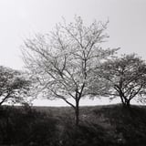 I take photographs at this place every year.
