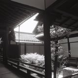 KYOTOGRAPHIE 2022