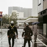 芝 20250319