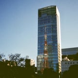 芝公園 20250130