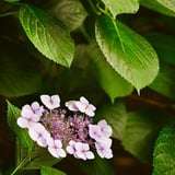 芝公園 20230627