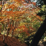 芝公園 20241210