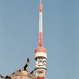 芝公園 20230516