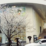 たまプラーザ 20250329
