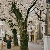 常盤平 20250403