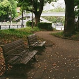 芝公園 20250424