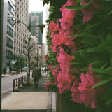 芝大門 20250426
