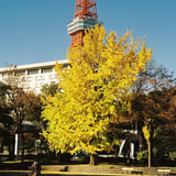 芝公園 20211202