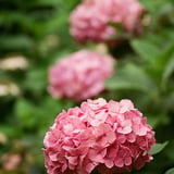 芝公園 20230627