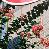 秋葉原 20240804