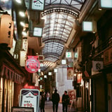 十条 20241201