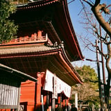 増上寺 20240125