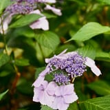 芝公園 20250612