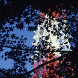 芝公園 20241203
