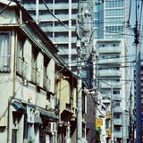 芝 20250325