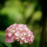 芝公園 20230613