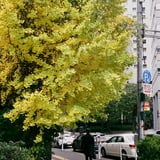 芝大門 20231205