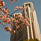 新宿中央公園 20260221