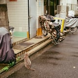 田町 20221014
