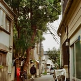 松が丘 20221025