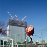 芝浦 2024121