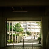 西葛西 20240923