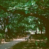 練馬 20240704