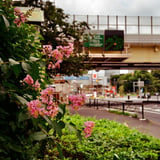 赤羽橋 20220903