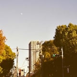 芝公園 20241210