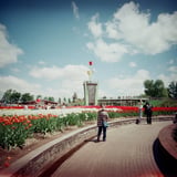 25.0502