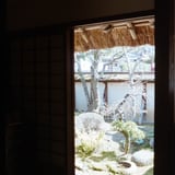 丹波篠山