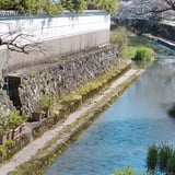 丹波篠山