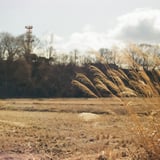 noTitle