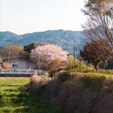 丹波篠山